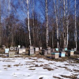 Моя работа и хобби
