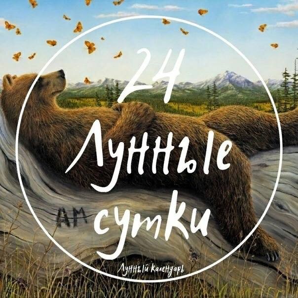 24 Лунный день